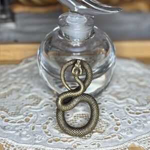 Coiled Snake Brooch